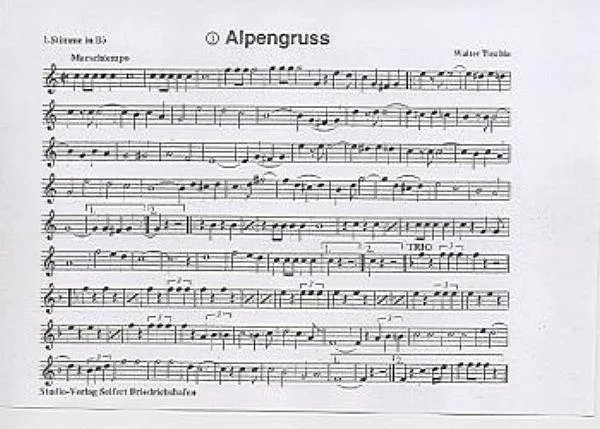 Studio-Verlag Rudi Seifert Alpengruß Straßenmarsch Blasmusik B-Ware