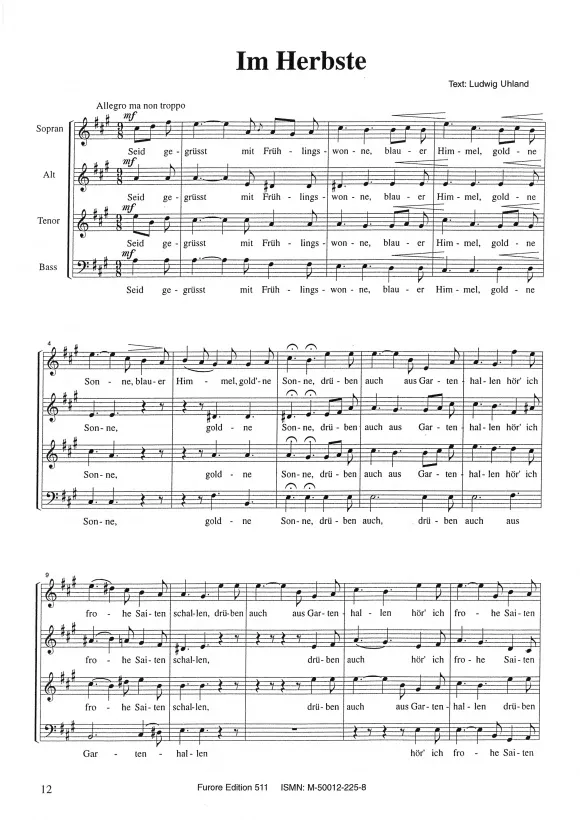 Furore Edition Hensel Weltliche Chöre Vol. 2 Chor Noten