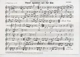 Studio-Verlag Rudi Seifert Heut spielen wir für Sie Noten B-Ware Polka