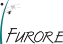 Furore Edition Piano Trio in D minor Klaviertrio