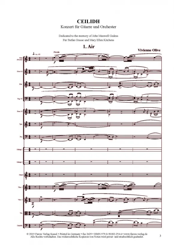Furore Edition Ceilidh Gitarre Orchester Partitur mittelschwer