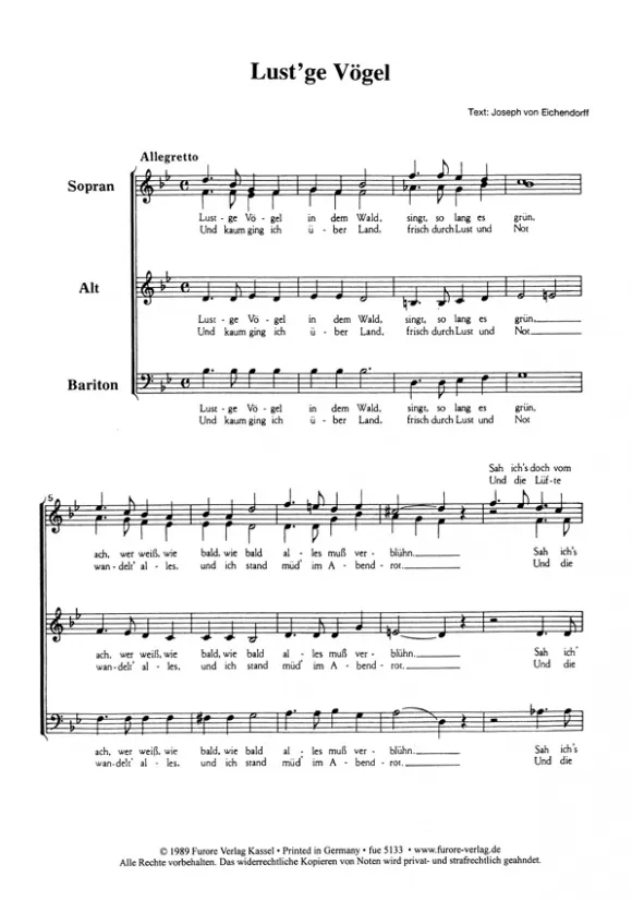 Furore Edition Weltliche a-cappella Chöre Vol. 4 Chorpartitur