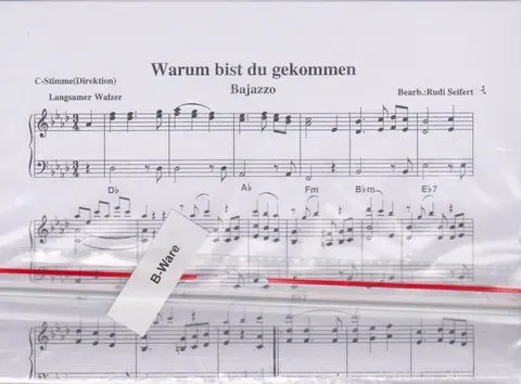 Studio-Verlag Rudi Seifert Warum bist du gekommen Noten kleine Blasmusik