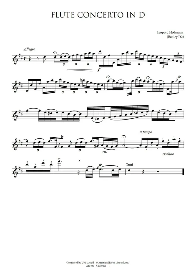 Artaria Hofmann Kadenzen Flötenkonzert D-Dur AE556a PDF